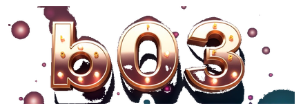 b03 logo